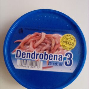 ROBAK DENDROBENA ROZM 3