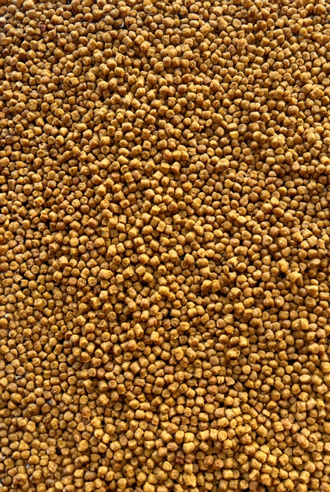 FEEDER BAIT PELLET 2 MM COMPETITION CARP 800 G - obrazek 2