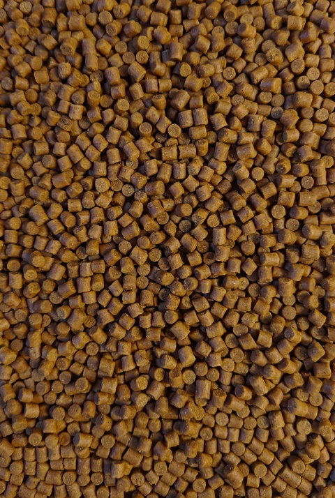 FEEDER BAIT PELLET 4 MM ORZECH TYGRYSI 800 G - obrazek 2