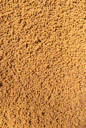 FEEDER BAIT PELLET GOTOWY 2 MM SWEETCORN 600 G
