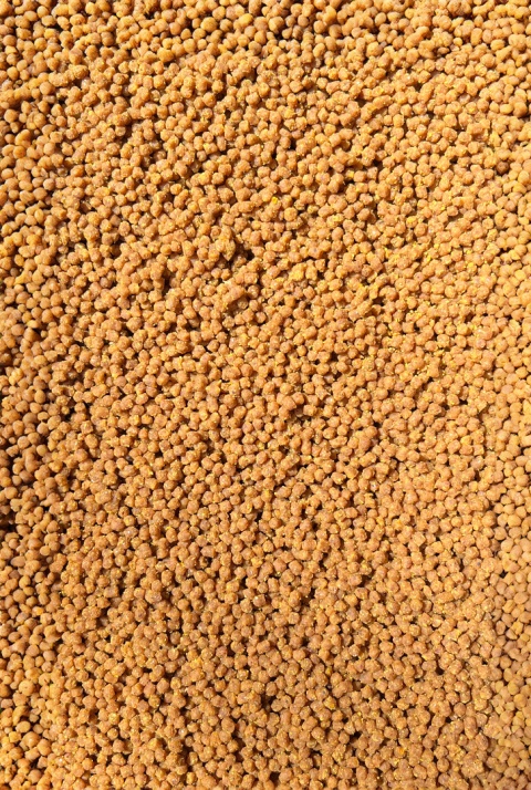 FEEDER BAIT PELLET GOTOWY 2 MM WANILIA 600 G - obrazek 2